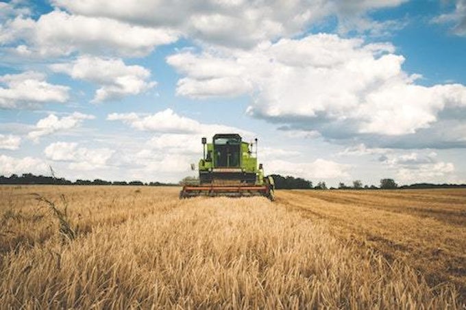 Combine harvester chains