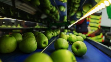 Linea Food Grade