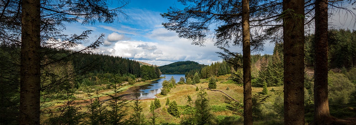 Scotland scene