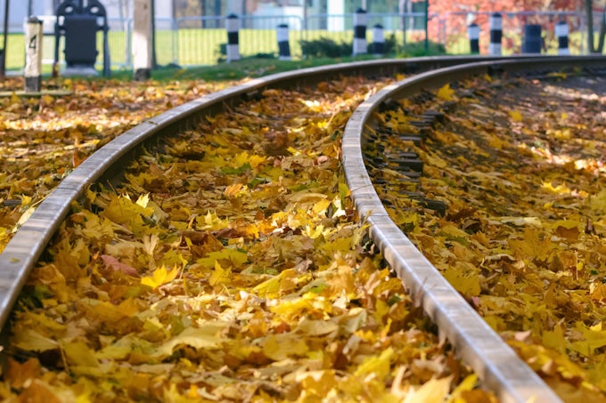 Feuilles mortes voie ferree